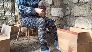 Переезд под Краснодар. Рынок, 8 марта купили цыплят.