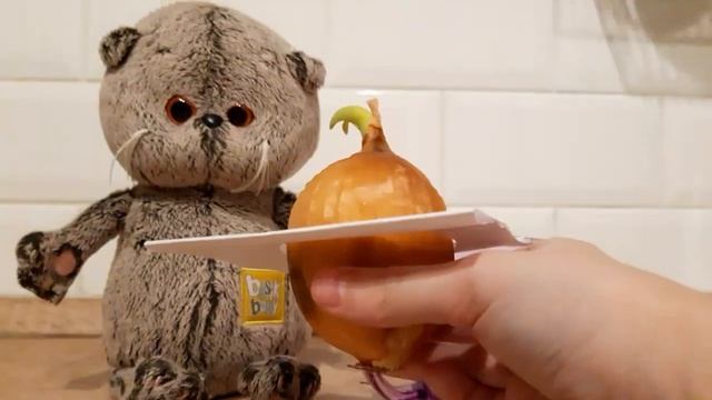 Басик занимается садоводством???? смотреть онлайн