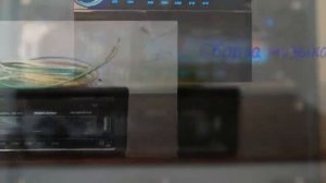 Сборка музыкального центра из автомагнитолы
