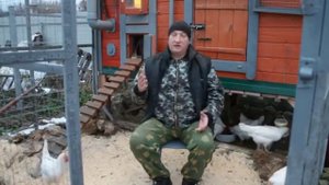 Глисты у кур несушек, лечение.