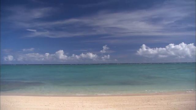 How cool!  The Okinawa Arena, a symbole of new age for Japanese basketball _Channel JAPAN ＃12/2021 смотреть онлайн