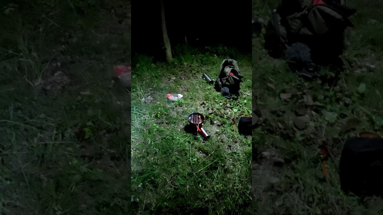 Завтра.  #жизньвлесу