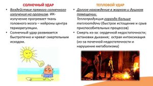 13.3. Гипертермия