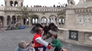 Tourist Attraction at Fisherman's Bastion, Budapest - Hugh bird of prey plays with tourists