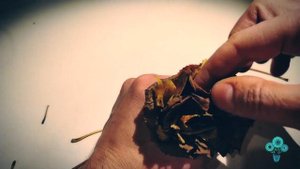 Роза из листьев березы. Цветы из листьев березы пошагово. Осенние поделки.