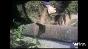 Что будет если скинуть планшет с * этажа