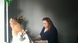 Ф. Бургмюллер. Этюд №1 - Исполняет Елена Климова. Детская библиотека