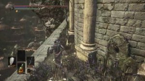 The Ringed City как победить лучников