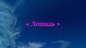 "Лошадь". #мои_клипы  #музыка #музыкальная среда