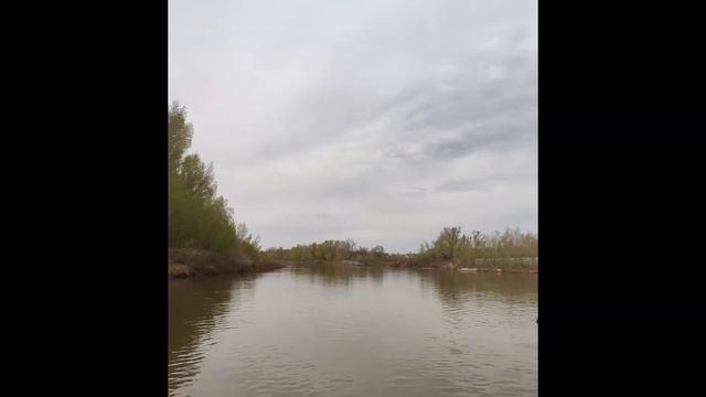 Сплав на сапбордах смотреть онлайн