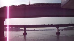 Река с крокодилами в Индии (Гоа)