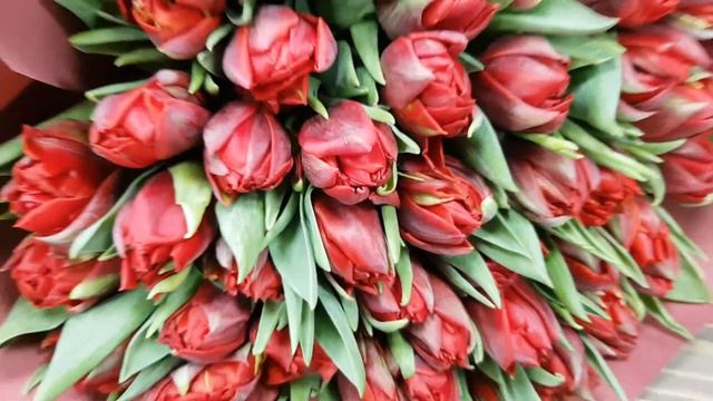 20190224 103238 смотреть онлайн