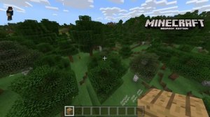 COMPARATIVA: MINECRAFT Java Edition Vs Windows 10 Edition (Bedrock)