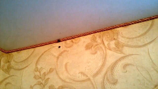 Натяжной потолок в Чернигове. Проект декорирования потолка канатиками. смотреть онлайн