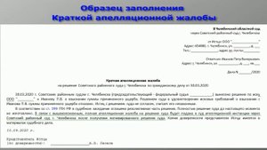 Как ПРАВИЛЬНО применять КРАТКУЮ апелляционную жалобу, чтобы не пропустить срок обжалования?