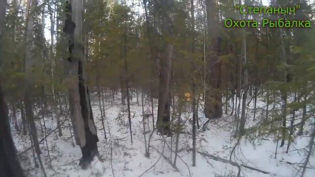 5 заезд Короткий путик 1 день 2017 смотреть онлайн