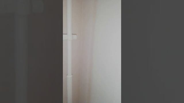 Покраска ПИКовских обоев в ЖК Ясенева 12