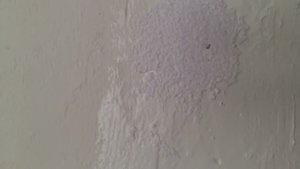 жидкие обои, эксперимент