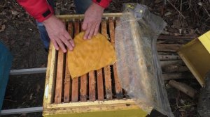 Разные способы подкормки пчел зимой.