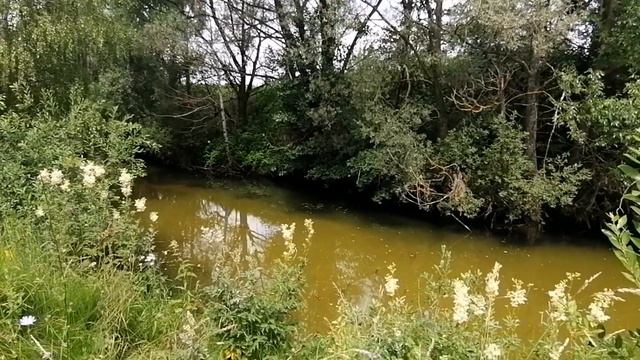 рыбалка с рогаткой(рейд по голавлю) смотреть онлайн