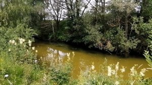 рыбалка с рогаткой(рейд по голавлю)