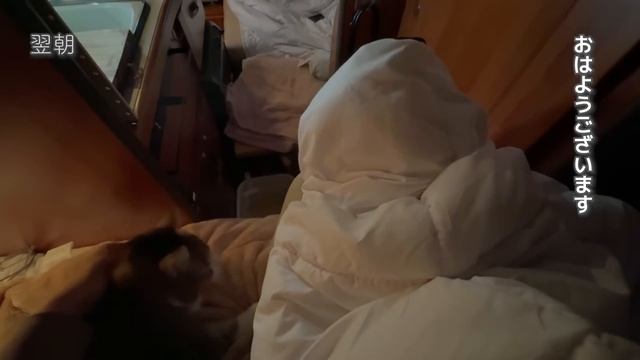 震度7地震、3m津波警報【富山避難車中泊生活】コンビニ、スーパー食糧不足、地震直後パニック状態からリアルな映像記録 | 2024年1月1日能登半島地震