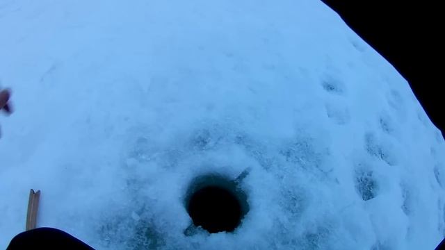 ЛОВЛЯ СУДАКА В ГЛУХОЗИМЬЕ. РЫБАЛКА НА ВОЛГЕ. смотреть онлайн