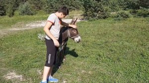 В ГОРАХ ДАГЕСТАНА?/ ГОРЫ⛰/ОСЛИК?/МОМЕНТЫ ИЗ ЖИЗНИ?