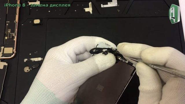 Замена экрана iPhone 8. Разборка iPhone 8