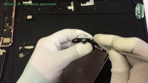Замена экрана iPhone 8. Разборка iPhone 8