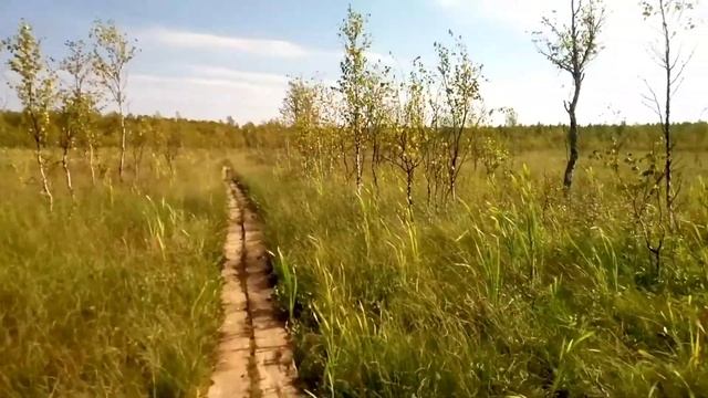 К месту подвига Ивана Сусанина. смотреть онлайн