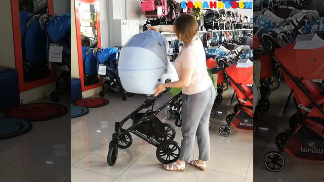 Коляска Indigo Mio 2 в 1