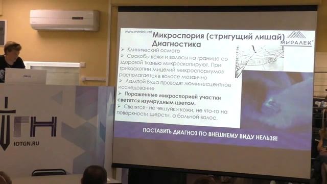 20.06.2021 Мария Утлякова "Дерматомикозы у кошек" смотреть онлайн