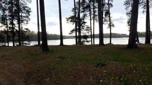 Озëра в Пустыни. Природный заповедник. Кто увидел купается только здесь. Арзамасский район.