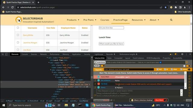 SelectorsHub Tutorial-Selectorshub Shadow DOM-IFrame In Selenium Webdriver-SVG-SelectorsHub-Expert