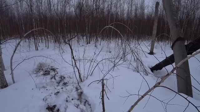 Первый выезд этого года! Можно ли эффективно копать зимой?