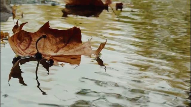 Я СОЖАЛЕЮ, ЧТО У МЕНЯ ТАКАЯ ДОЧЬ История из жизни Аудио рассказ смотреть онлайн