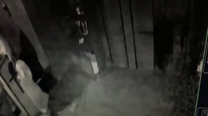 Квест"Проклятие черной монахини".Волгоград