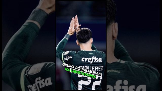 PIQUEREZ CORTADO !!! GRAMADO DO ALLIANZ !!! GRUPO DA MORTE NA LIBERTA ??? #palmeiras #libertadores