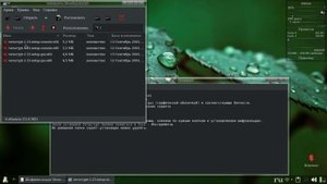 Debian.ч14. Установка Veracrypt.