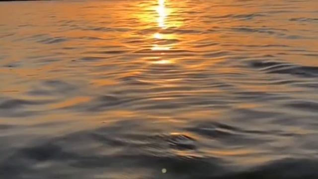 Влад Бахов закрытие группы поддержки родителей 📣вспомните зачем вы здесь💥 смотреть онлайн