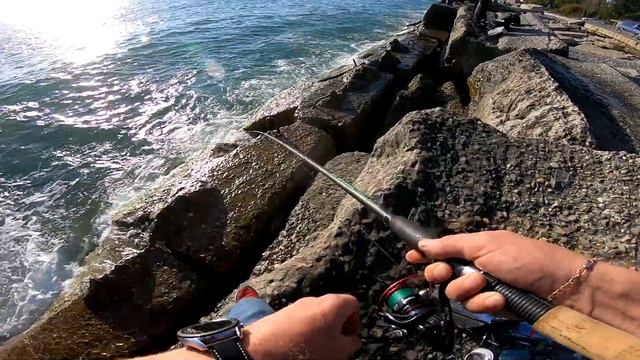 Сарган бюджетная снасть на саргана  рыбалка