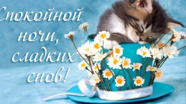 Спокойной ночи ? Приятных снов #спокойнойночипожелание