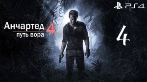 Анчартед 4: путь вора #4 (Sony Playstation 4)