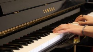 Million Roses/ Миллион алых роз - Alla Pugacheva /Алла Пугачева piano/пианино cover