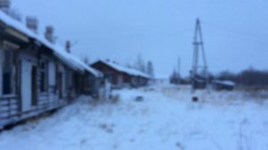 Станция Пулозеро голодные собаки. Четыре штуки. Одна не подходит.