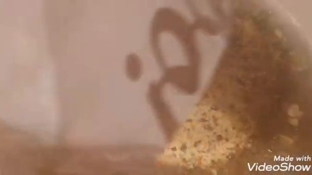 Готовим кускус с томатами/Постный стол. смотреть онлайн