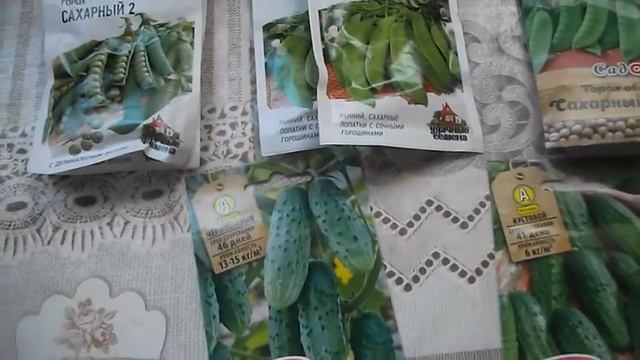 магнит\пятёрочка\семишагофф смотреть онлайн