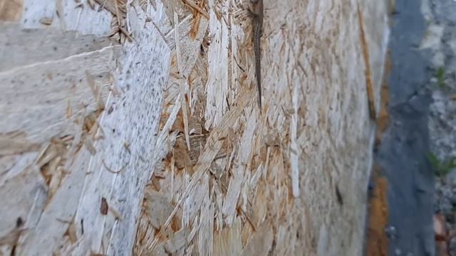 Шерегеш Июль 2019 Эндуро 42 Парк Тарас Иванов Прохват Лето и Снег смотреть онлайн