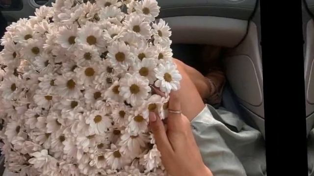 обои с цветочками??? смотреть онлайн